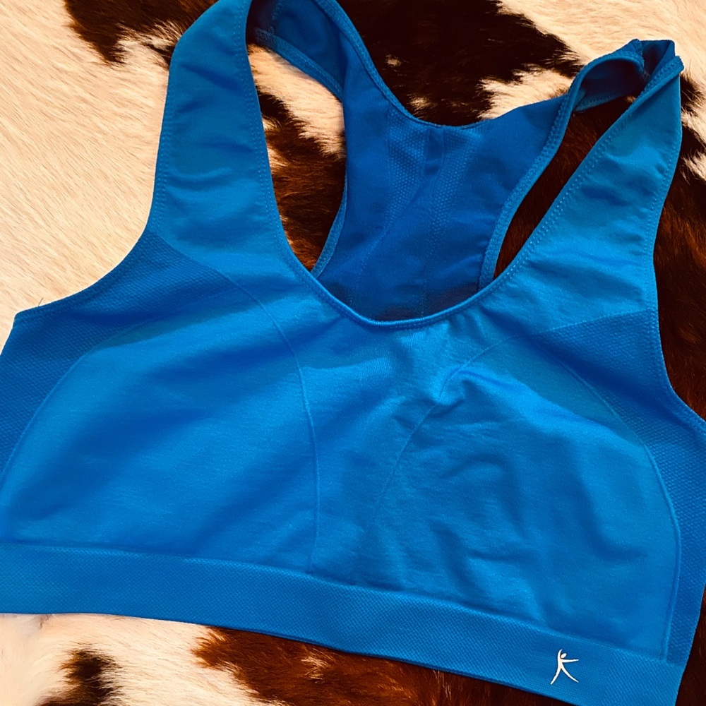 NWOT - Blue 2X Danskin Now Workout Bra